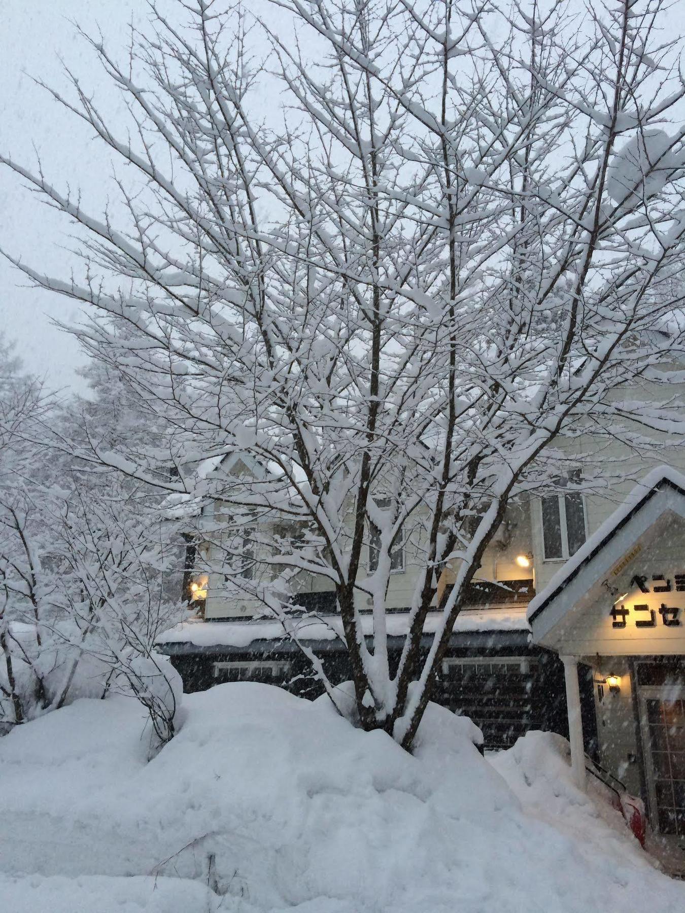 B&B Sunset Inn Hakuba Zewnętrze zdjęcie